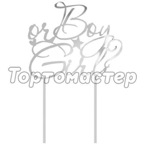 Топпер декоративный акриловый "Мальчик или девочка" Серебро 