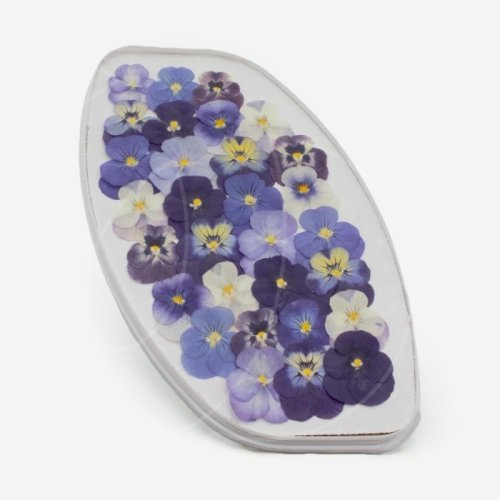 Виола обезвоженная "Микс мини" Объёмная 40 шт 