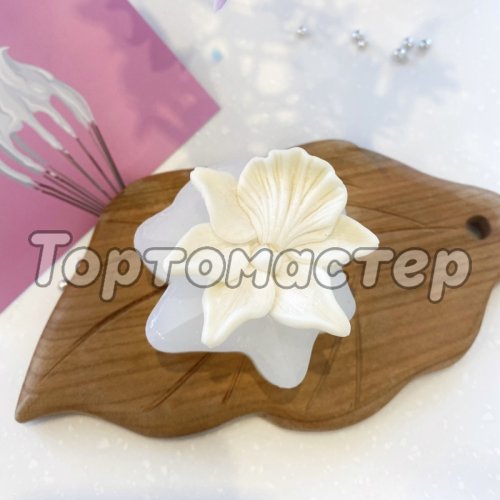 Молд силиконовый 3D Орхидея цимбидиум 1 шт 5,5 см 02880